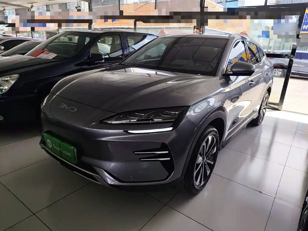 BYD Song PLUS EV 2024 - thumbnail 2