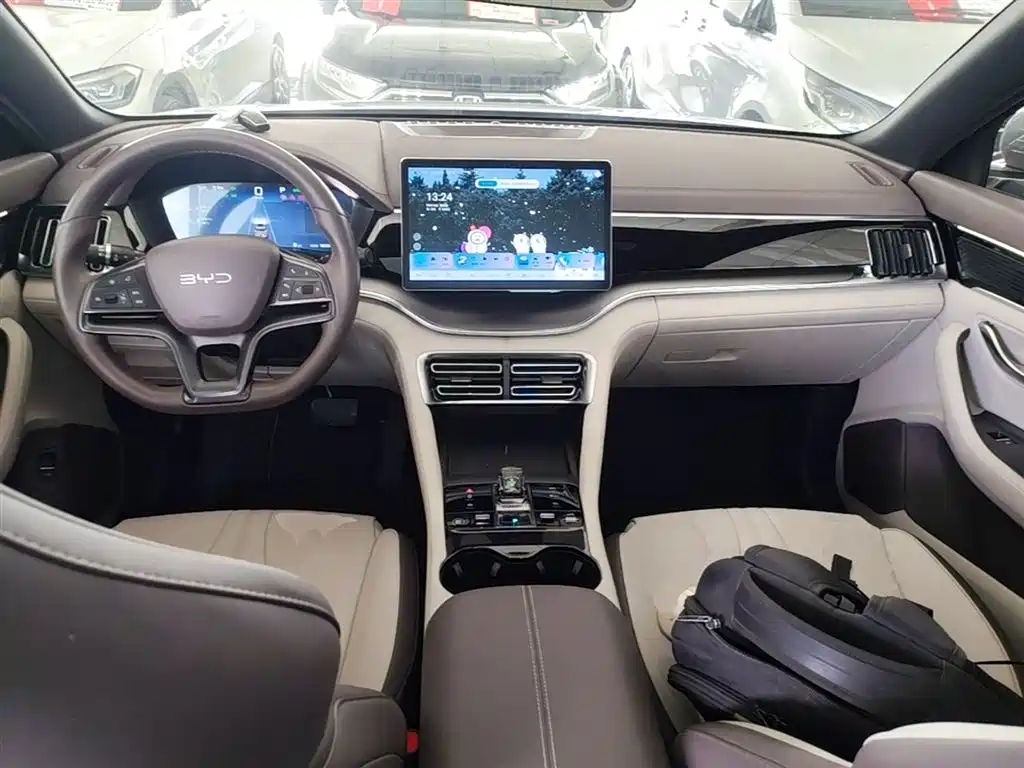 BYD Song PLUS EV 2024 - thumbnail 6