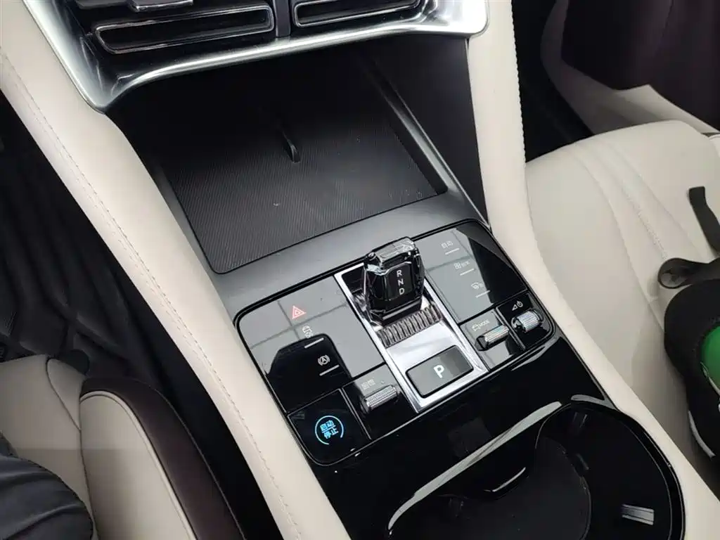 BYD Song PLUS EV 2024 - thumbnail 10