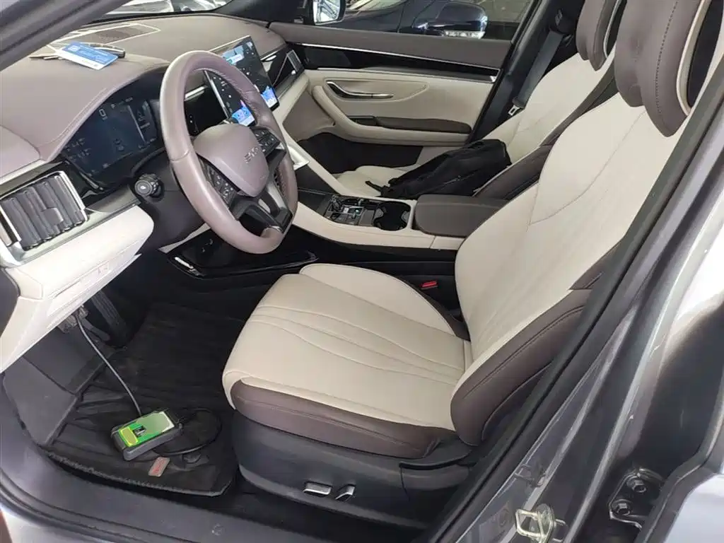 BYD Song PLUS EV 2024 - thumbnail 11