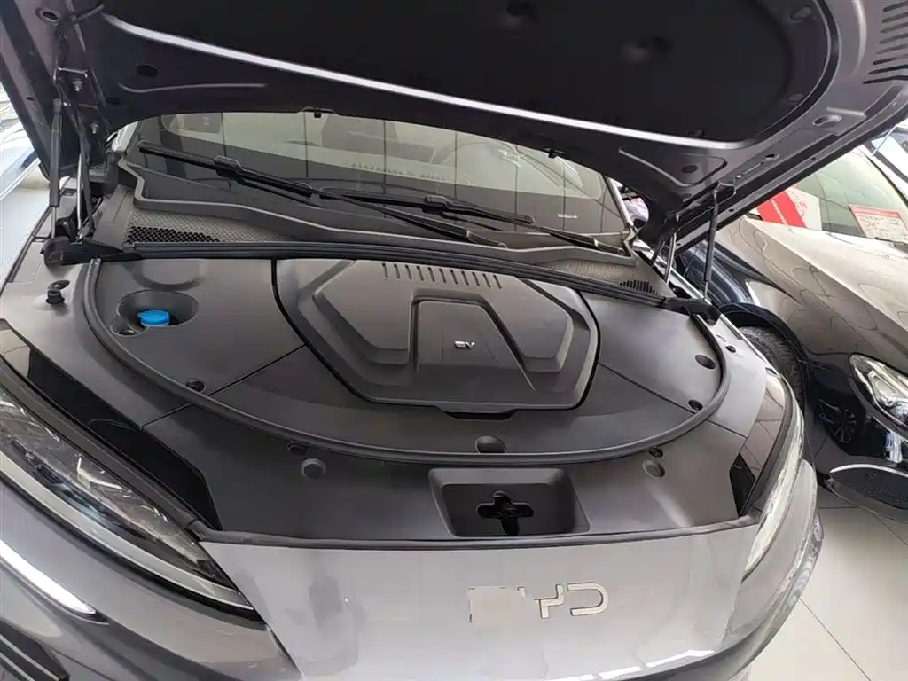 BYD Song PLUS EV 2024 - thumbnail 16