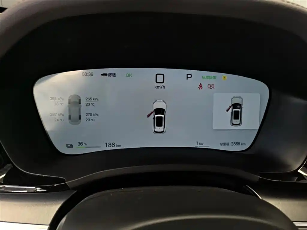BYD Song PLUS EV 520km Premium 2025 - thumbnail 12
