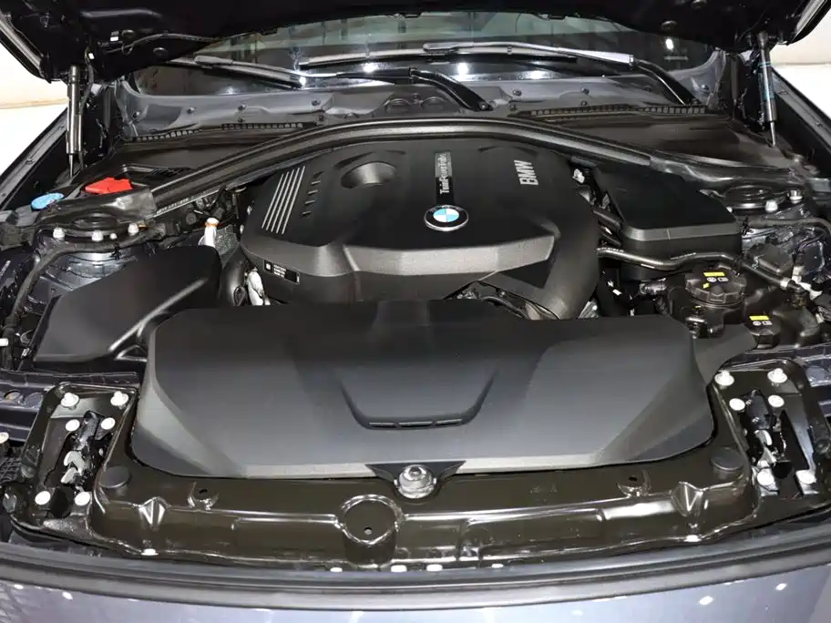 BMW BMW 3 Series GT 2019 320i Fashion Edition 2019 - thumbnail 20
