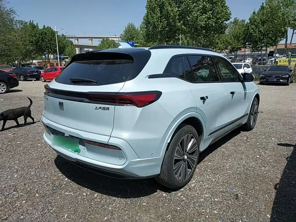 Buick Buick E5 2023 Zhenxiang Standard Range 2023 - thumbnail 7