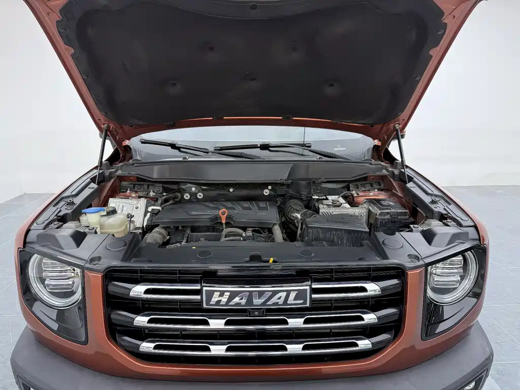 Haval Haval Big Dog 2021 1.5T DCT FWD Border Collie Edition 2021 - thumbnail 7