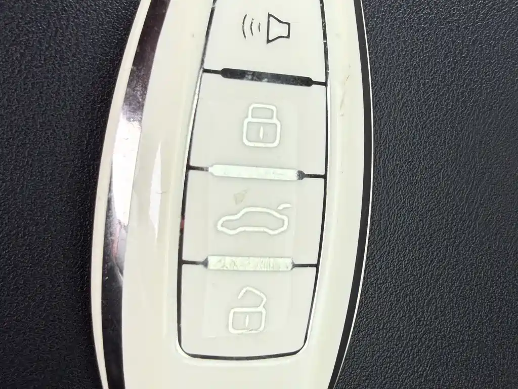 Haval Haval Big Dog 2021 1.5T DCT FWD Border Collie Edition 2021 - thumbnail 13