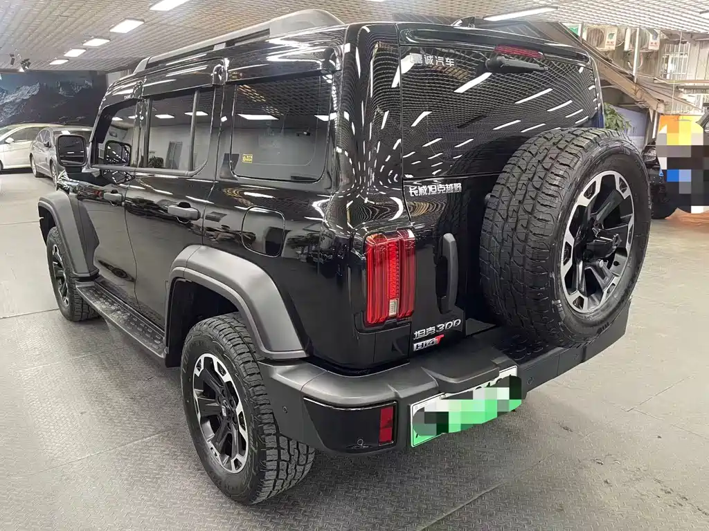 Tank Tank 300 PHEV 2025 Hi4-T 37.1kWh 2025 - thumbnail 5