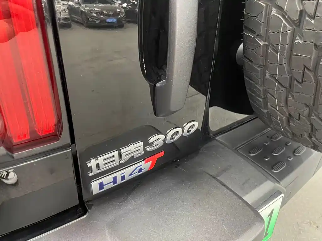 Tank Tank 300 PHEV 2025 Hi4-T 37.1kWh 2025 - thumbnail 10