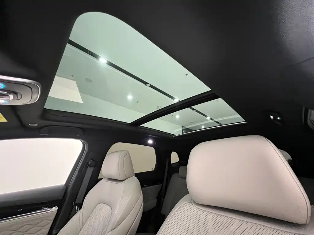 BYD BYD Tang 2025 Intelligent Driving Edition DM-i 175KM Premium 2025 - thumbnail 22