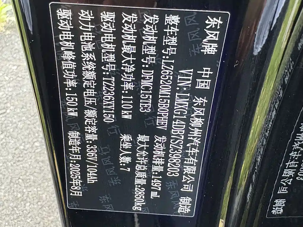 Dongfeng Forthing Voyah V9 200km Comfort 2025 - thumbnail 26