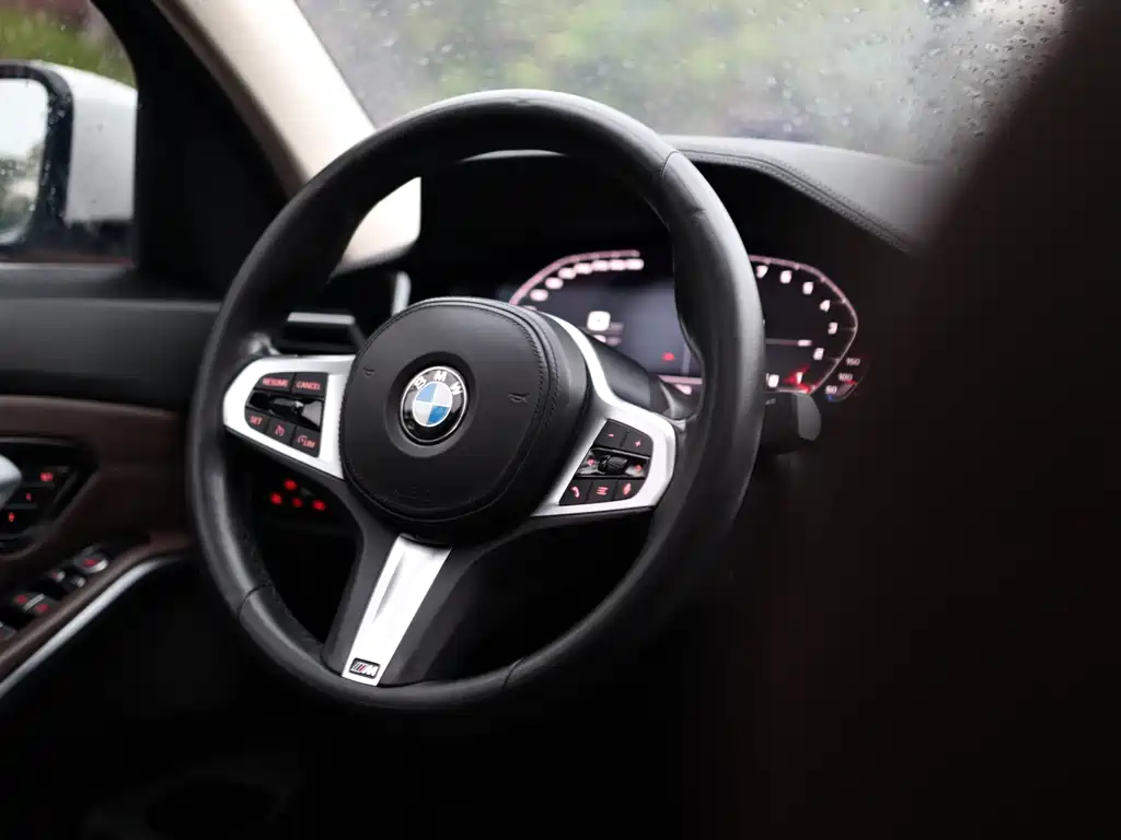 BMW BMW 3 Series 320Li M Sport Package 2022 - thumbnail 22