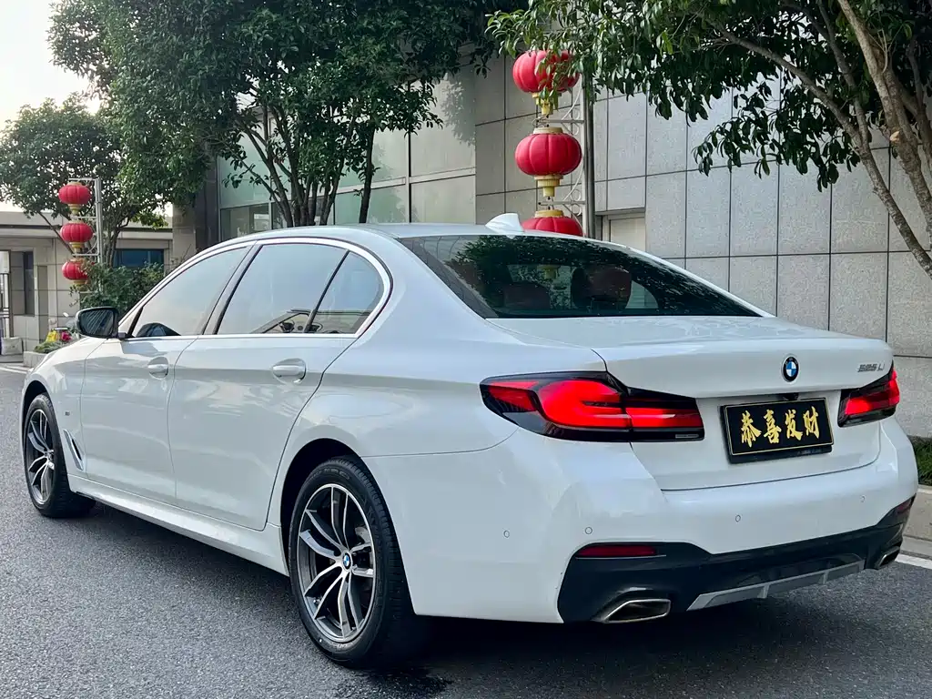 BMW BMW 5 Series 525Li M Sport Package 2021 - thumbnail 8