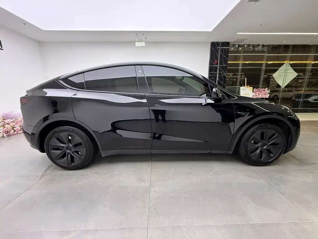Tesla Tesla Model Y 2023 Long Range AWD 2024 - thumbnail 6