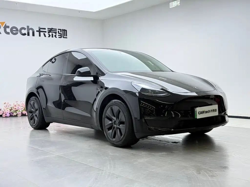 Tesla Tesla Model Y 2023 Long Range AWD 2024 - thumbnail 7