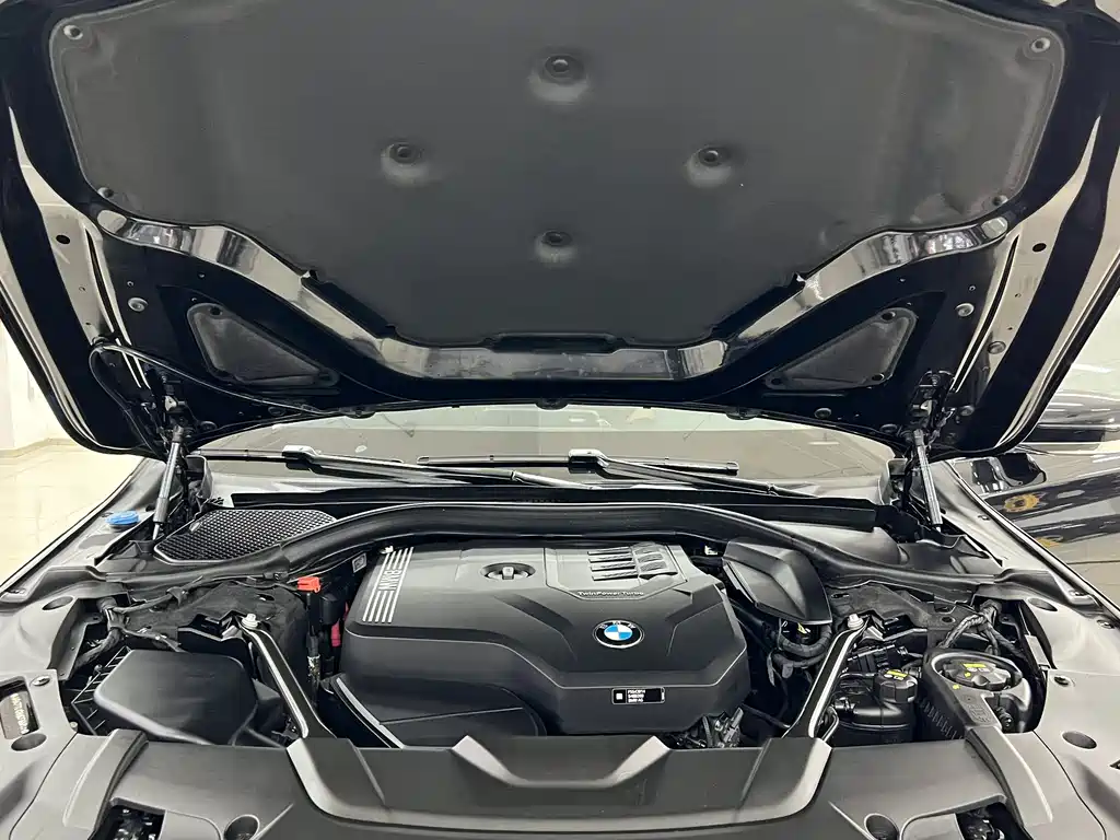 BMW BMW 7 Series 2019 Facelift 730Li Luxury Package 2020 - thumbnail 16