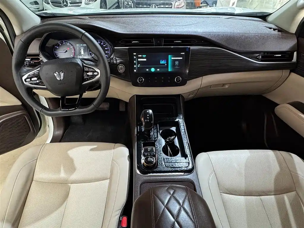 Dongfeng Fengdu Paladin 2023 2.0T Gasoline AWD Premium Edition 2024 - thumbnail 8