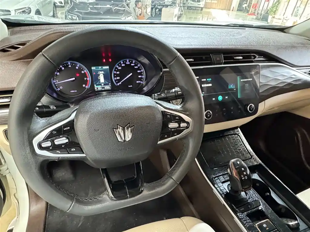 Dongfeng Fengdu Paladin 2023 2.0T Gasoline AWD Premium Edition 2024 - thumbnail 13