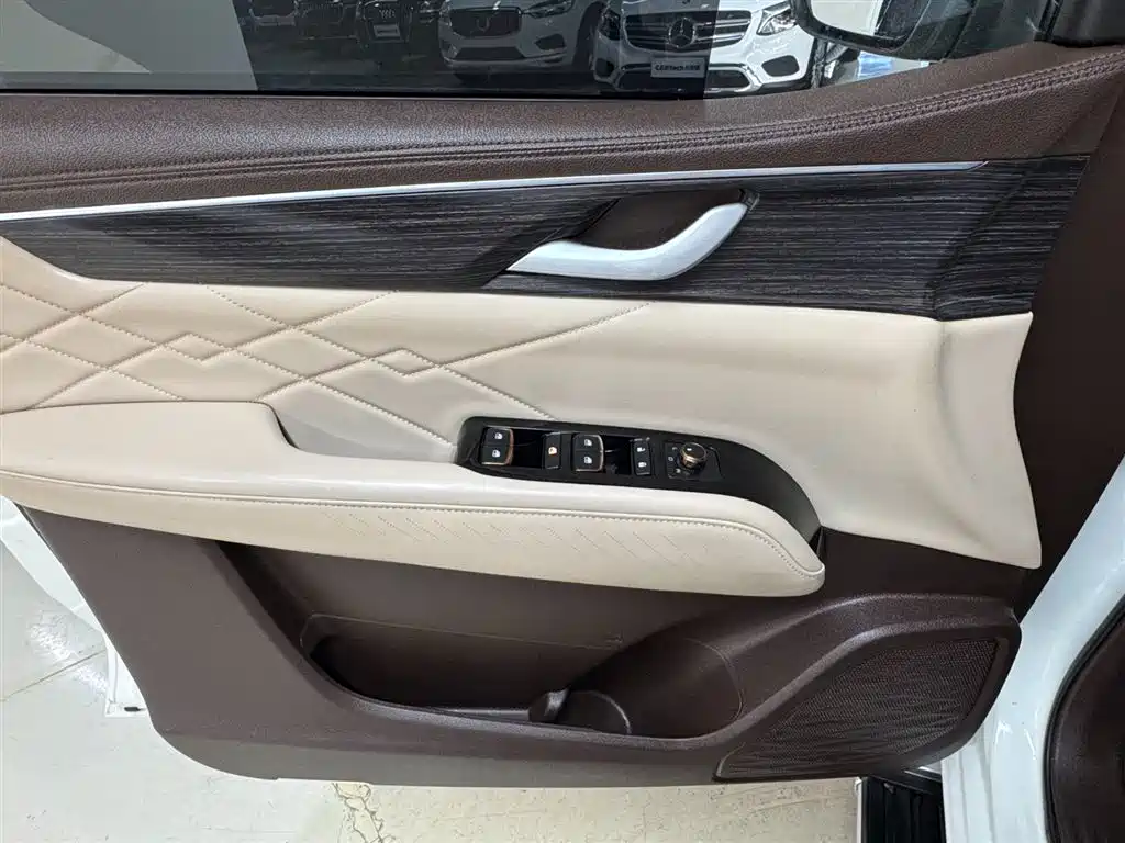 Dongfeng Fengdu Paladin 2023 2.0T Gasoline AWD Premium Edition 2024 - thumbnail 15