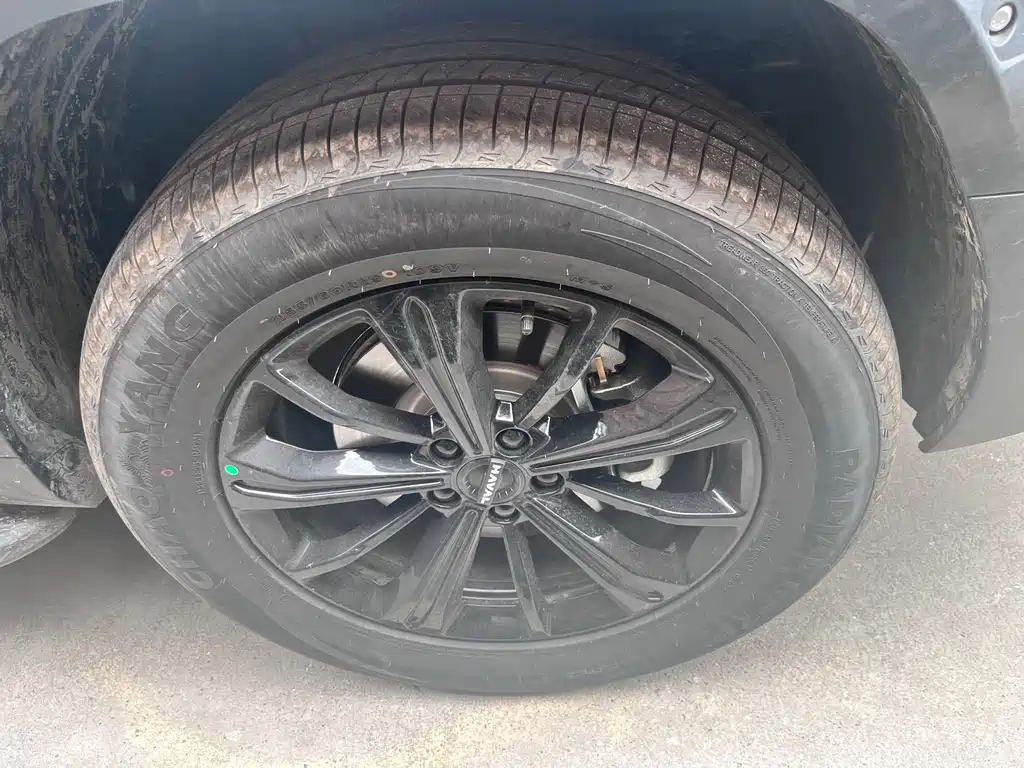 Haval Haval Menglong New Energy 2026 Hi4 150 Pro LFP 2026 - thumbnail 5