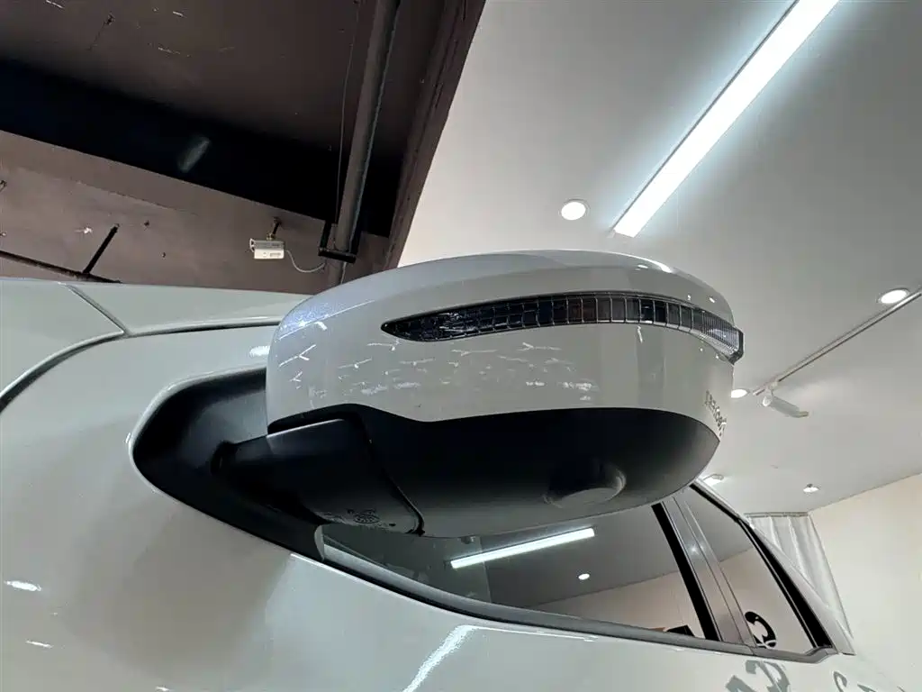 Dongfeng Fengdu Paladin 2023 2.0T Gasoline AWD Premium Edition 2024 - thumbnail 22