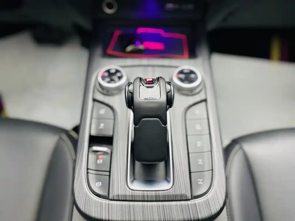 Tank Tank 300 2021 Off-Road Edition 2.0T Conqueror 2021 - thumbnail 11