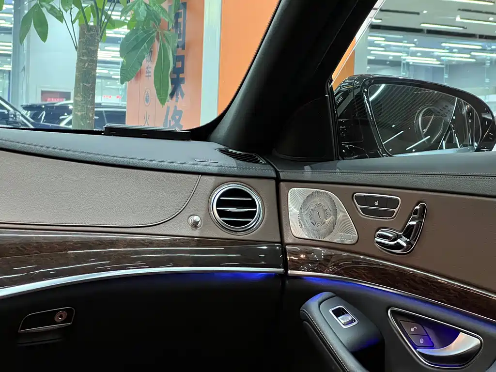 Mercedes-Benz Mercedes-Benz S-Class 2020 S 350 L Business Edition Final Edition 2020 - thumbnail 21