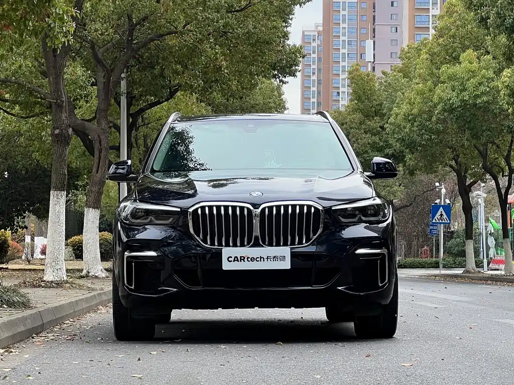 BMW BMW X5 2022 xDrive 30Li M Sport Package 2023 - thumbnail 2