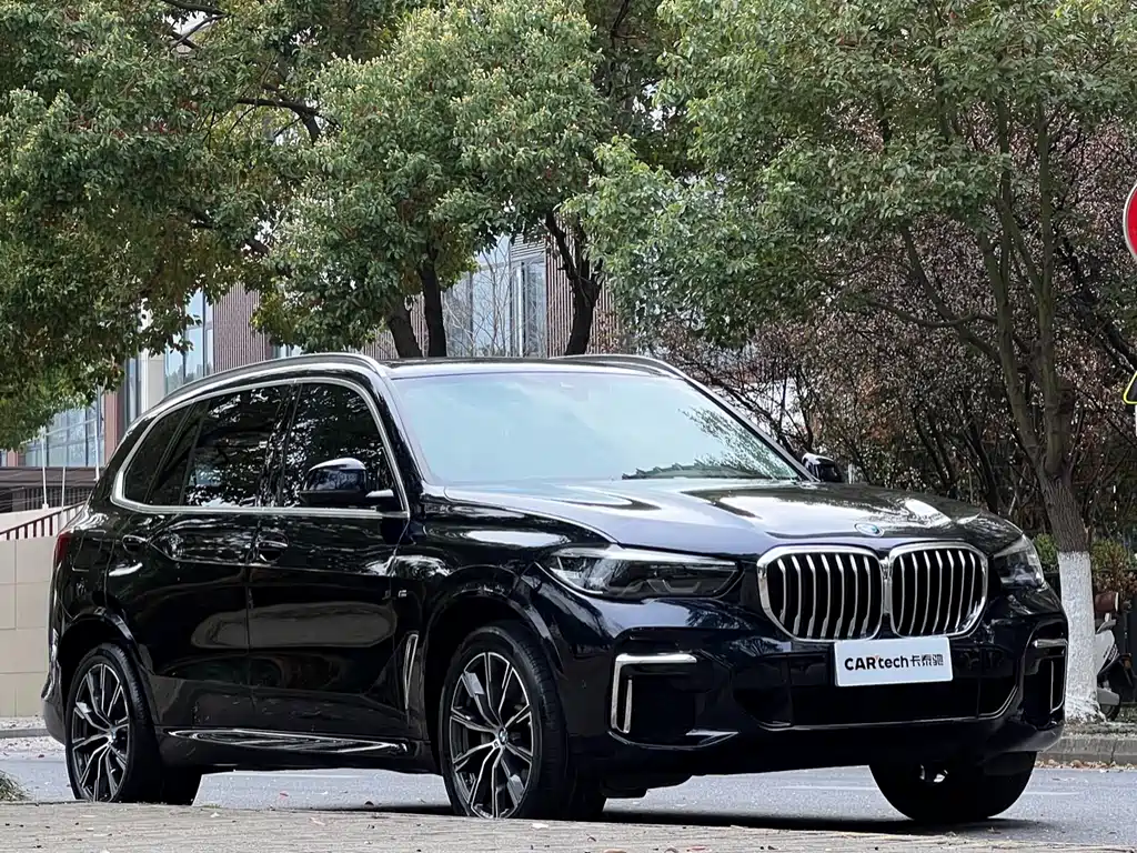 BMW BMW X5 2022 xDrive 30Li M Sport Package 2023 - thumbnail 3