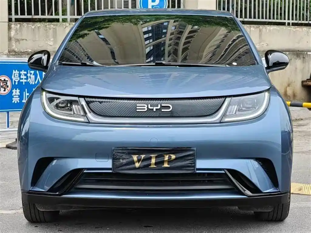 BYD BYD Dolphin 2025 420km Active Edition 2025 - thumbnail 2