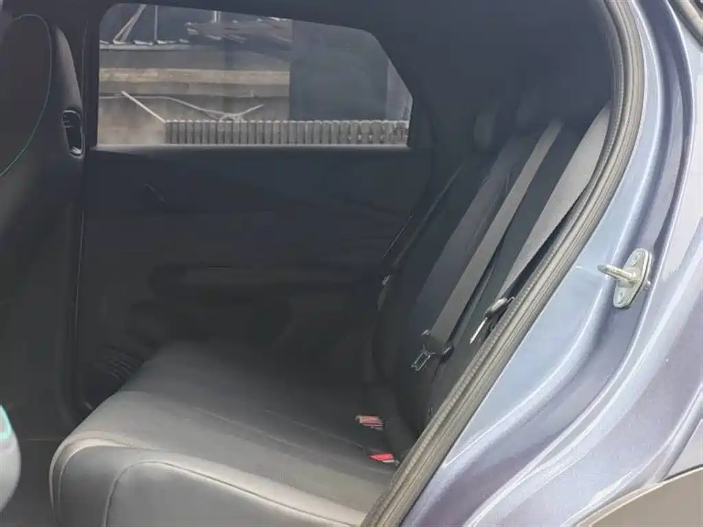 BYD BYD Dolphin 2025 420km Active Edition 2025 - thumbnail 8