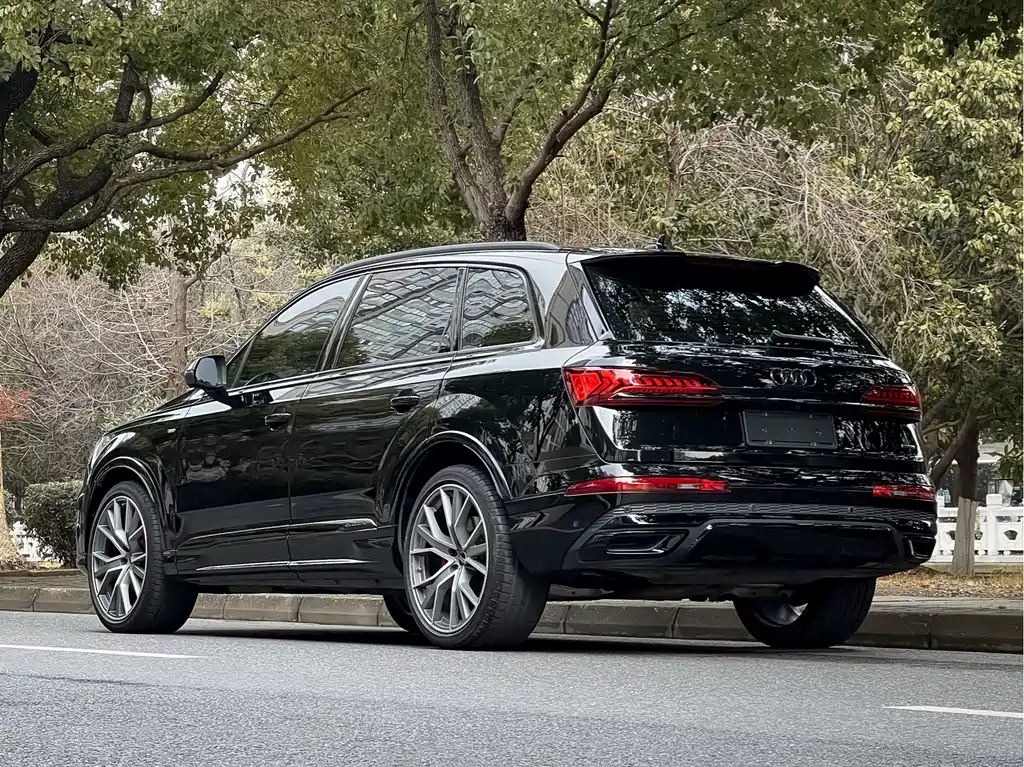Audi Audi Q7 2023 55 TFSI quattro S line Ice and Snow Sports Edition 2023 - thumbnail 6