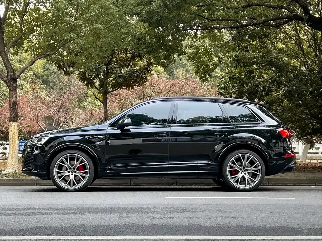 Audi Audi Q7 2023 55 TFSI quattro S line Ice and Snow Sports Edition 2023 - thumbnail 7
