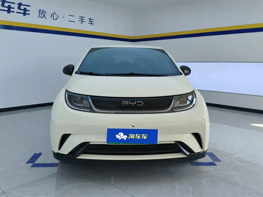 BYD BYD Dolphin 2025 420km Freedom Edition 2024 - thumbnail 2