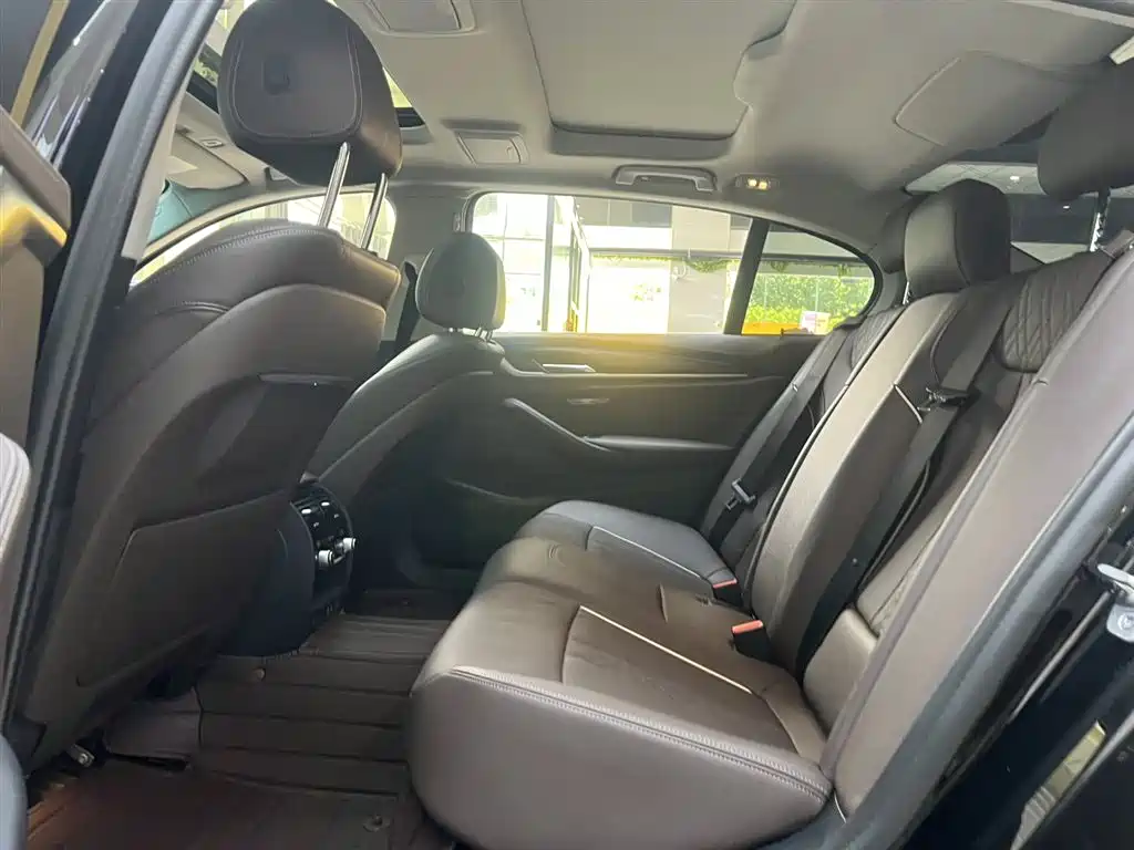 BMW BMW 5 Series 2021 530Li xDrive Luxury Package 2021 - thumbnail 14