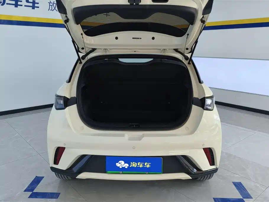 BYD BYD Dolphin 2025 420km Freedom Edition 2024 - thumbnail 4