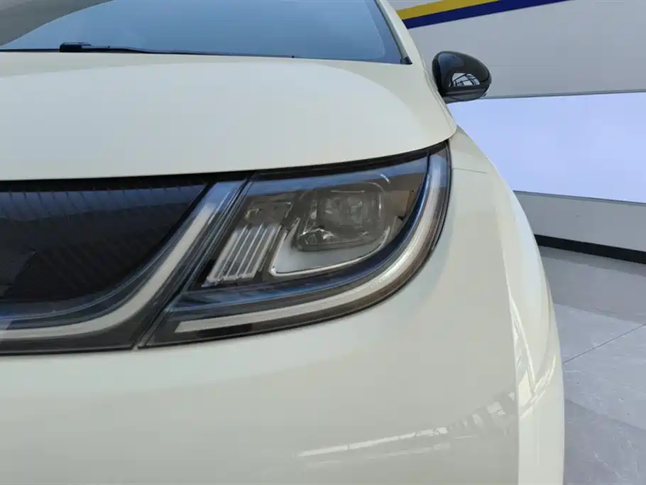BYD BYD Dolphin 2025 420km Freedom Edition 2024 - thumbnail 5