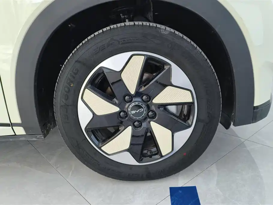 BYD BYD Dolphin 2025 420km Freedom Edition 2024 - thumbnail 6