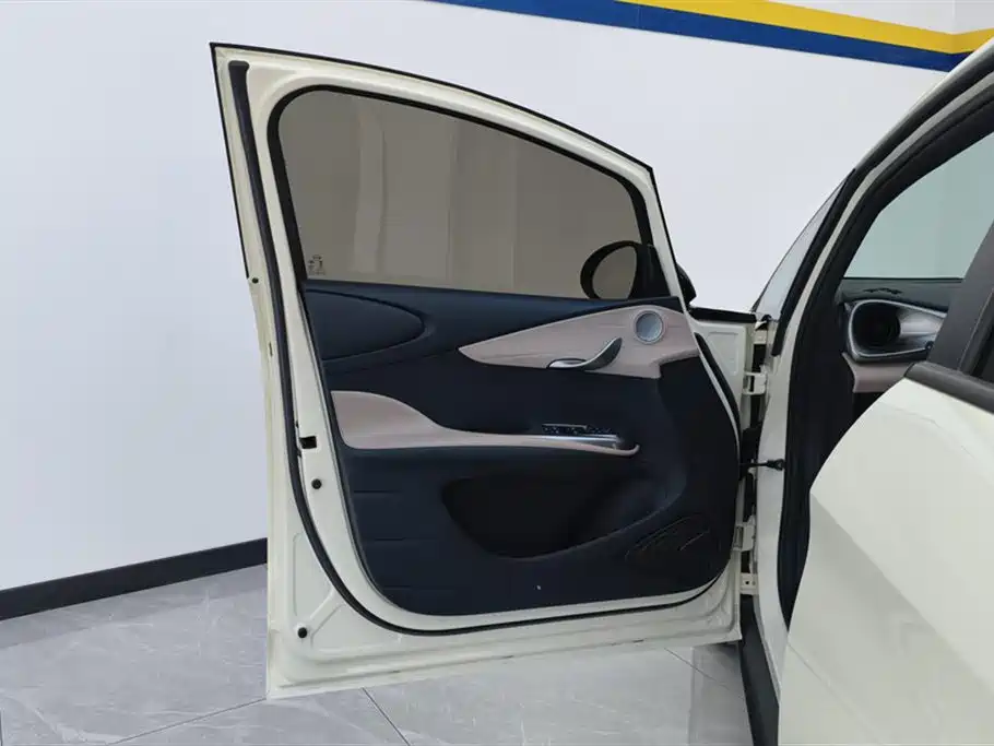 BYD BYD Dolphin 2025 420km Freedom Edition 2024 - thumbnail 7