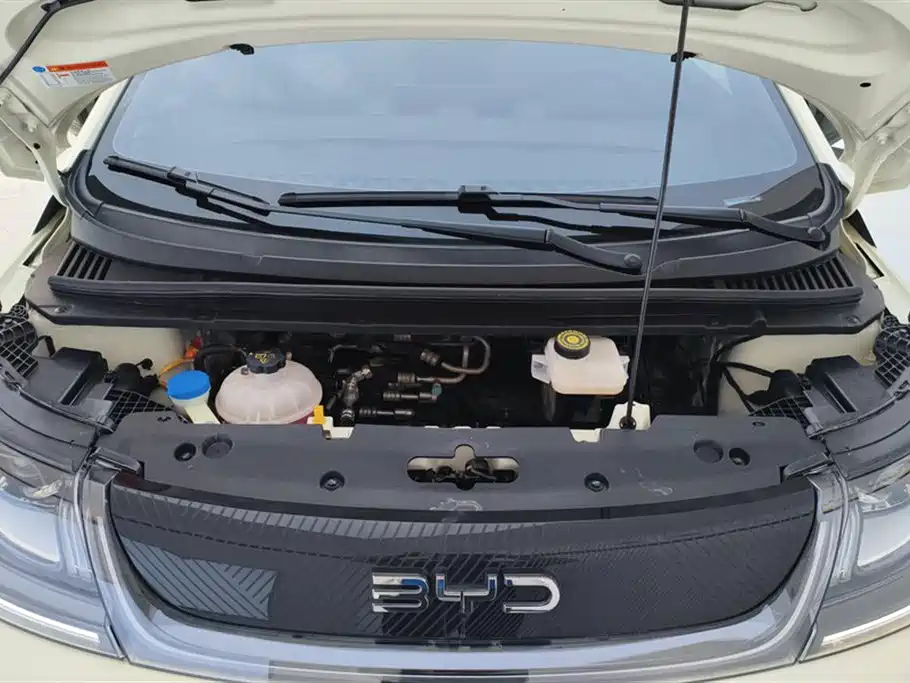 BYD BYD Dolphin 2025 420km Freedom Edition 2024 - thumbnail 10