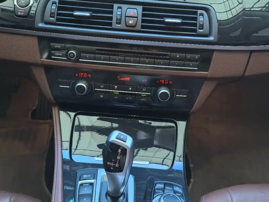 BMW BMW 5 Series 2014 520Li Elegant Edition 2015 - thumbnail 10