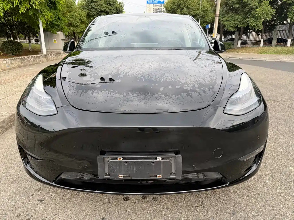 Tesla Tesla Model Y 2021 Standard Range RWD 2021 - thumbnail 2