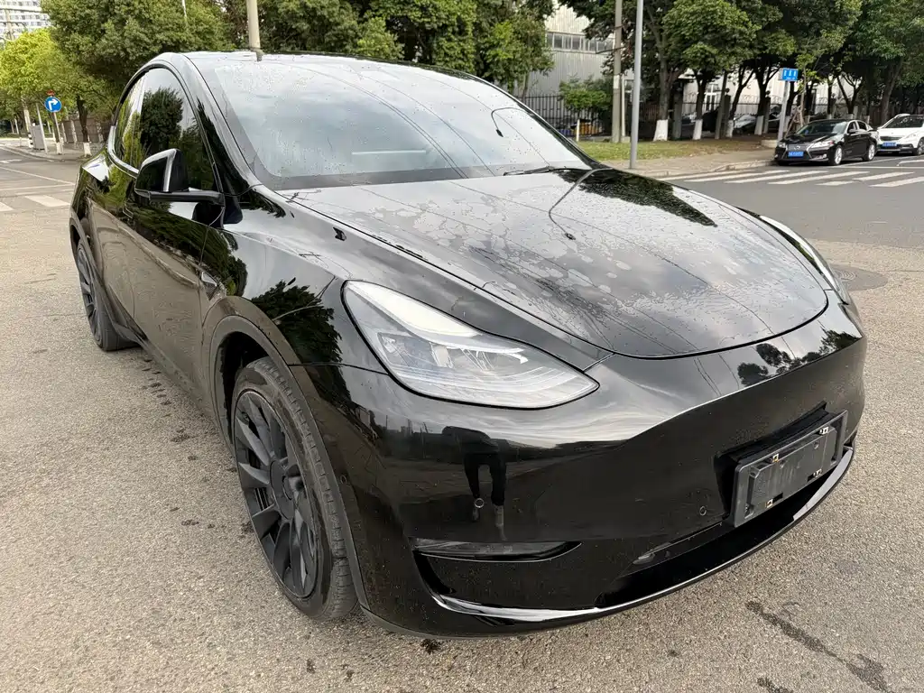 Tesla Tesla Model Y 2021 Standard Range RWD 2021 - thumbnail 3