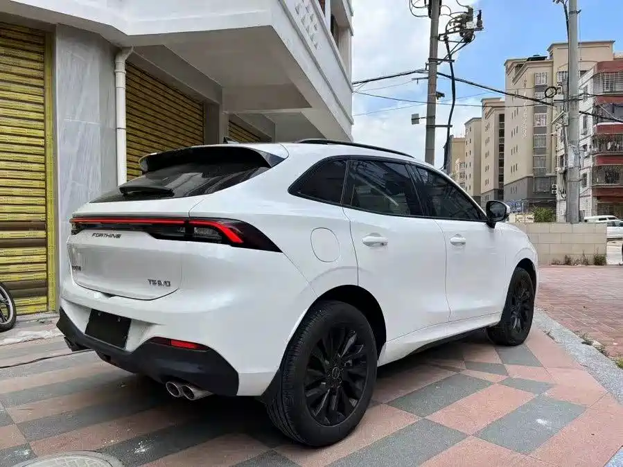 Dongfeng Forthing Forthing T5 EVO 2021 1.5TD DCT Platinum Edition 2022 - thumbnail 12