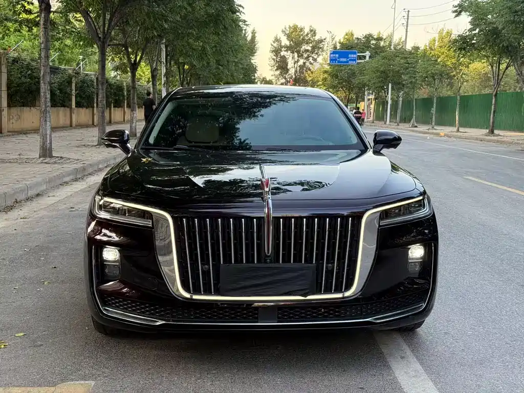 Hongqi Hongqi H9 2020 2.0T Zhilian Qichang Edition 2021 - thumbnail 2