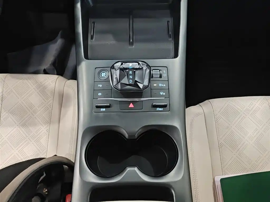 BYD Qin PLUS 2025 EV 510KM Leading 2025 - thumbnail 14
