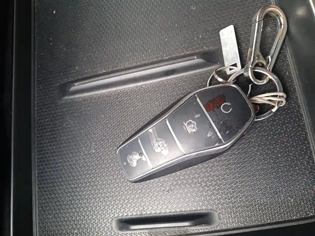 BYD Qin PLUS EV 510KM 2025 - thumbnail 9