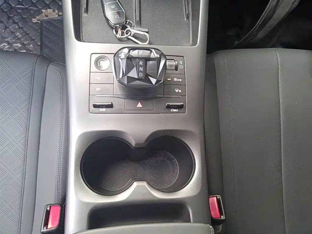 BYD Qin PLUS EV 510KM 2025 - thumbnail 14
