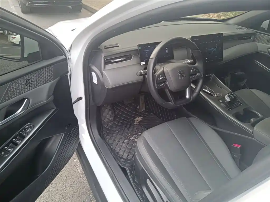 BYD Qin PLUS EV 510KM 2025 - thumbnail 16