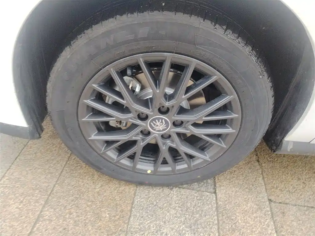 BYD BYD Qin PLUS 2025 EV Intelligent Driving Edition 510KM Entry 2025 - thumbnail 25