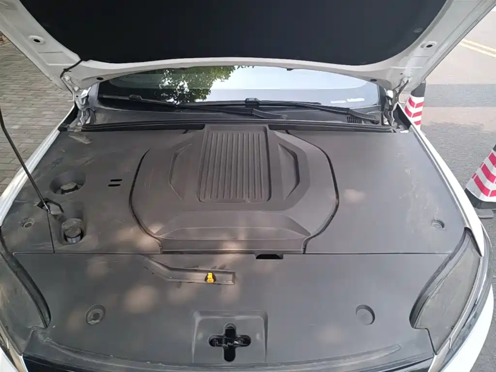 BYD Qin PLUS EV 510KM 2025 - thumbnail 20
